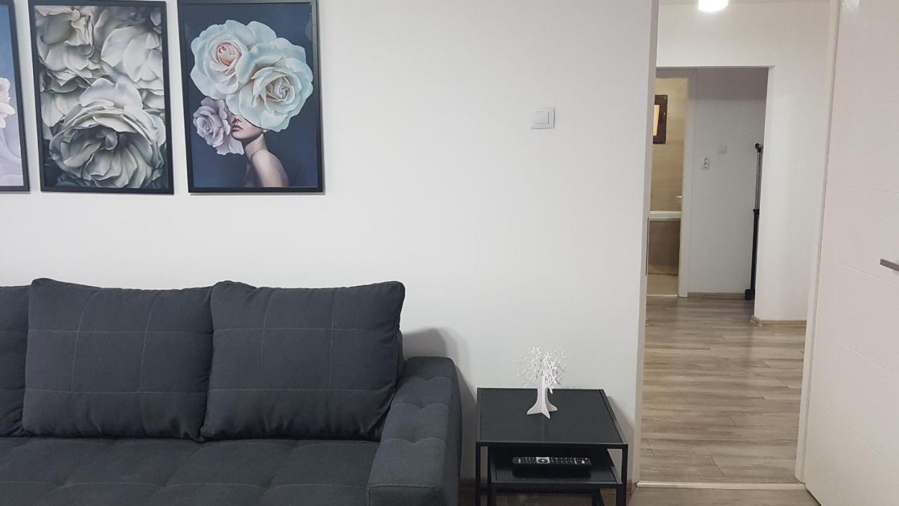 Mary Apartment Galaţi エクステリア 写真