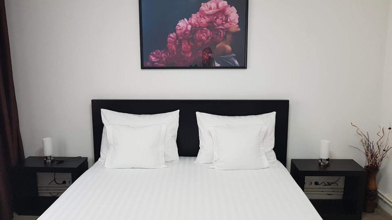 Mary Apartment Galaţi エクステリア 写真